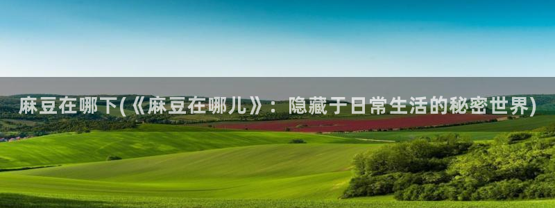 麻豆最新：麻豆在哪下(《麻豆在哪儿》：隐藏于日常生活的秘密世界)