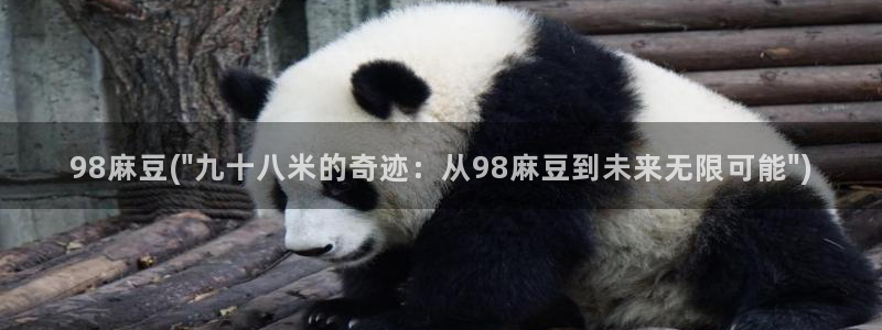 麻豆社区：98麻豆(\