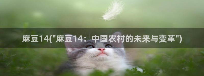 麻豆首页：麻豆14(\