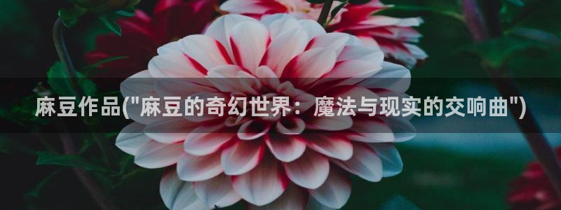 麻豆作品：麻豆作品(\