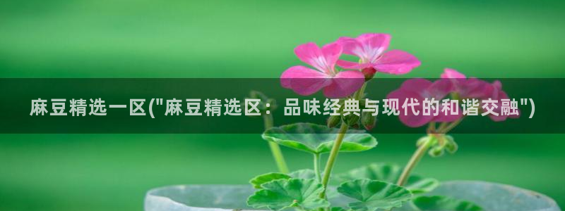 麻豆亚洲无矿砖码专区：麻豆精选一区(\