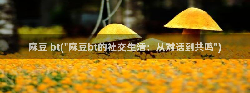 麻豆专区一区：麻豆 bt(\