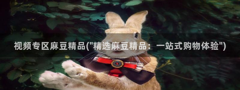 日韩中文麻豆专区：视频专区麻豆精品(\