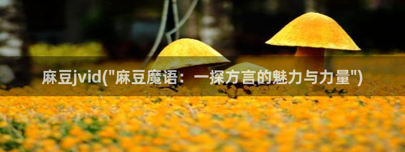 欧美专区麻豆：麻豆jvid(\