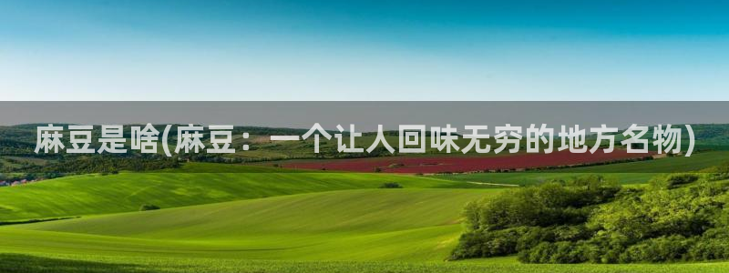 麻豆专区在线：麻豆是啥(麻豆：一个让人回味无穷的地方名物)