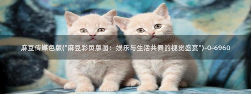 91蜜桃麻豆专区：麻豆传媒色版(\