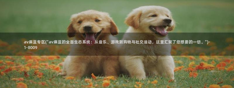 麻豆av专区：av麻豆专区(\