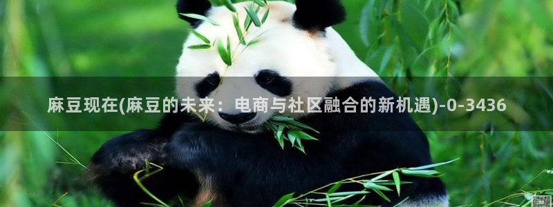 91麻豆国产专区：麻豆现在(麻豆的未来：电商与社区融合的新机遇)