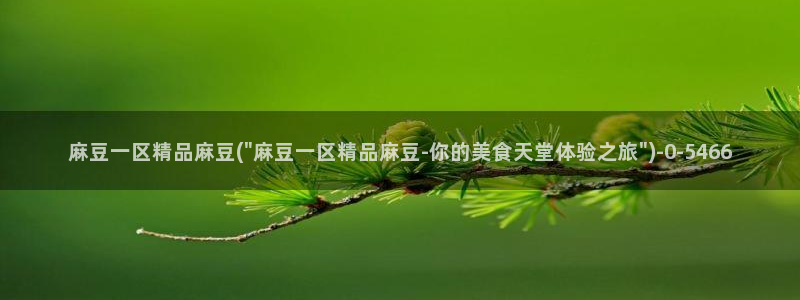 麻豆社区：麻豆一区精品麻豆(\