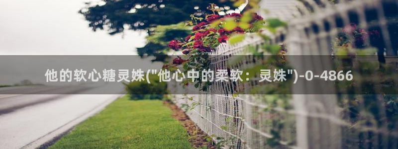 糖心视频vlog免费版：他的软心糖灵姝(\