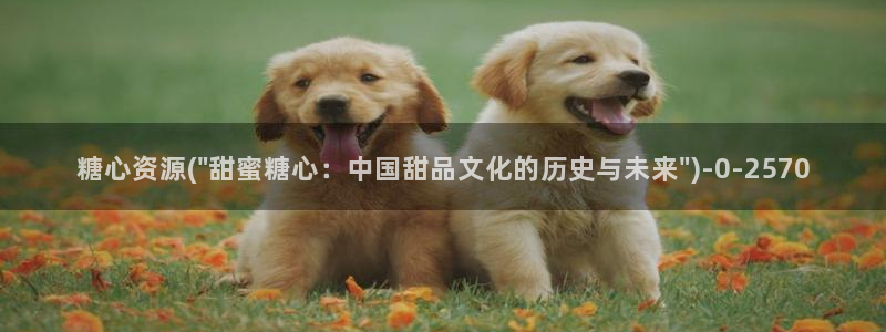 国产糖心vlog传媒：糖心资源(\