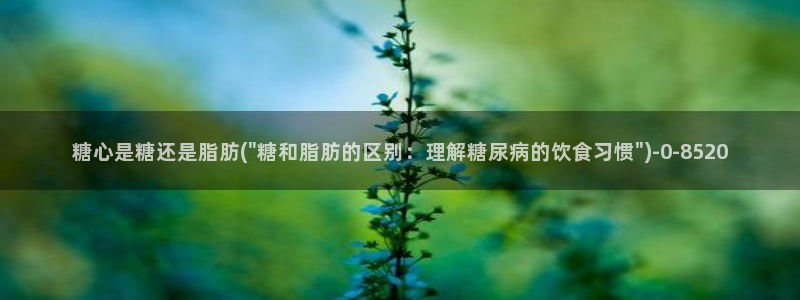 糖 vlog：糖心是糖还是脂肪(\