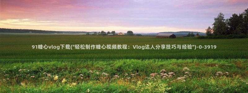 糖心vlog八大家：91糖心vlog下载(\