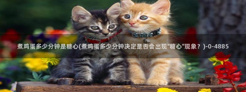糖心vlog是什么意思：煮鸡蛋多少分钟是糖心(煮鸡蛋多少分钟