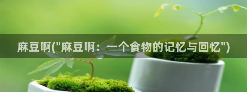 麻豆专区免费：麻豆啊(\