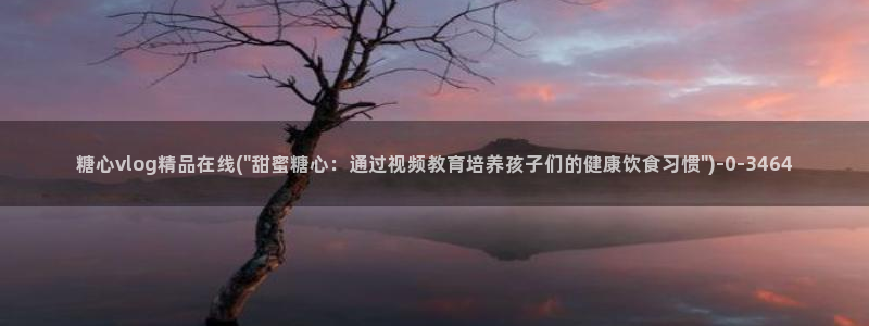 糖心vlog最新一集